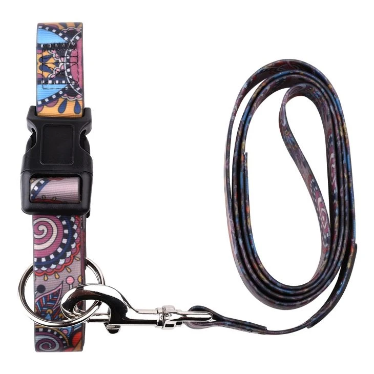 Premium Quality PVC Coated Webbing Silicone Dog Leash